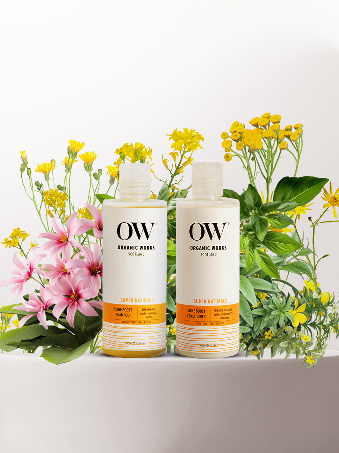 Shop Shine Boost Shampoo & Conditioner for Hair Care - Organic Works ...